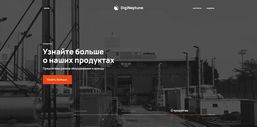 Детальная картинка